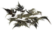 Цветы в PNG