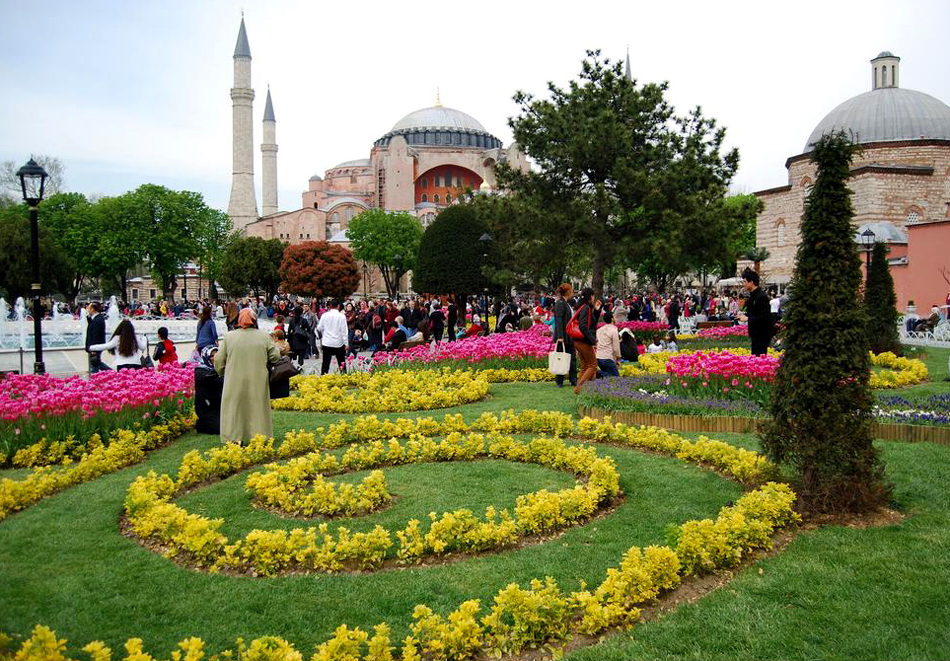 Туры в стамбул в апреле. Фестиваль тюльпанов в Стамбуле. Султанахмет фестиваль тюльпанов. Цветение тюльпанов в Стамбуле. Турция Стамбул тюльпаны.